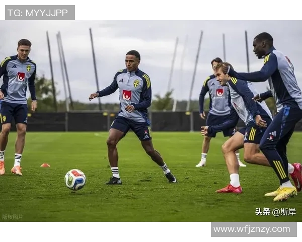 德国与瑞典精彩对决实况录像回顾及赛后分析